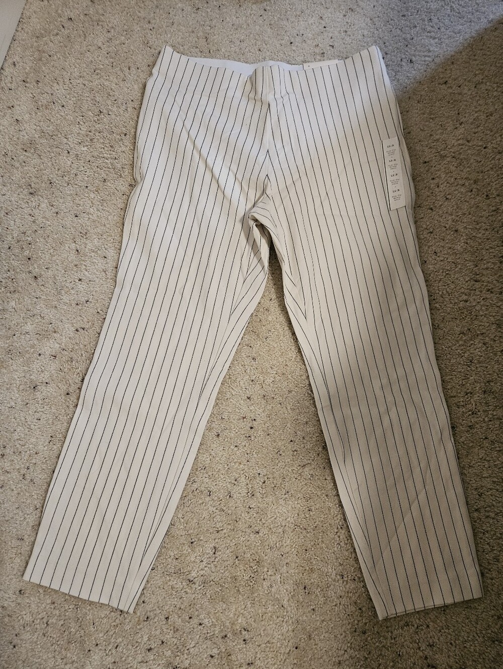 A New Day Stretch Pants